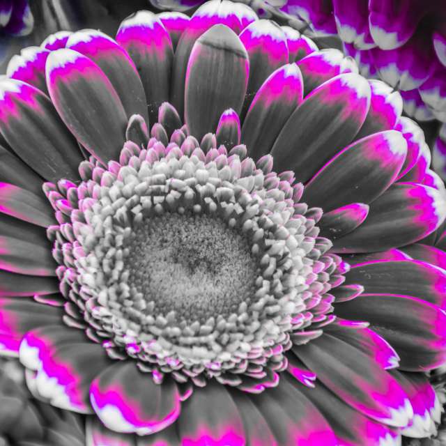 Weather Photos in Calgary. Weather forecasts with beautiful photos by 1stEyeFocused