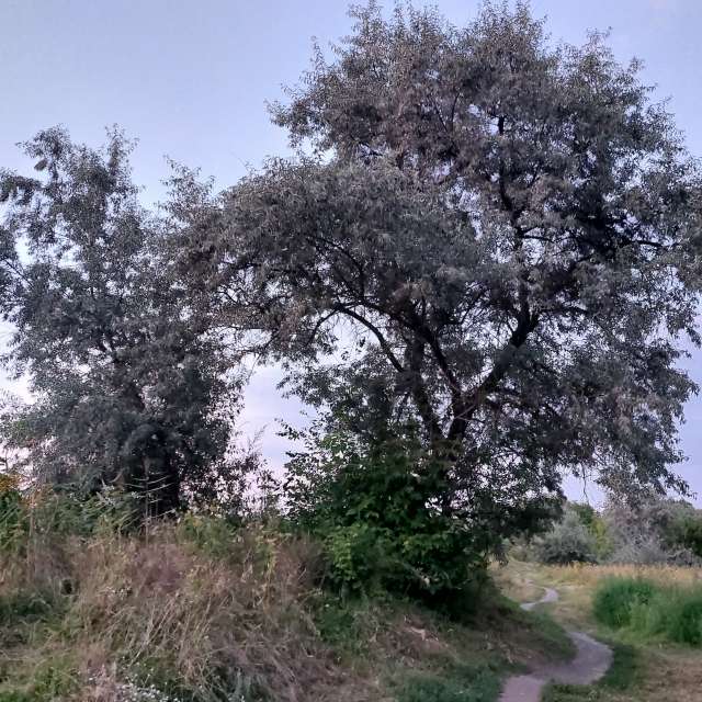 Goof. Weather forecasts with beautiful photos by Iryna Photos in Kharkiv