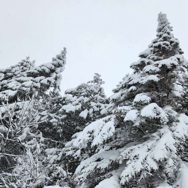 Pronósticos del tiempo con hermosas fotos de imamoonpuppy