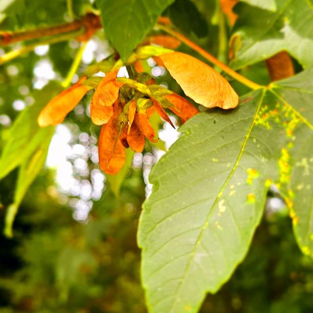 Fotos Sujeira. Previsões do tempo com lindas fotos de Seni em Velbert