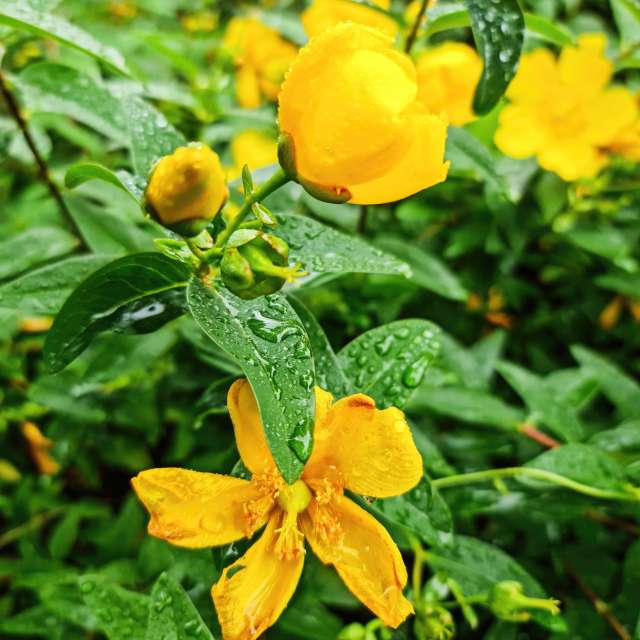 NASTIAの美しい写真による天気予報