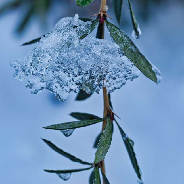 Weather forecasts with beautiful photos by martinm611