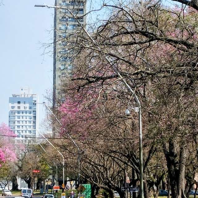 天气预报，带miguelespinaco精美的照片