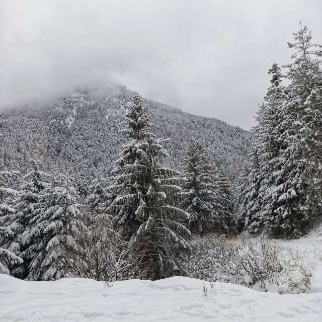 Weather forecasts with beautiful photos by _richardd