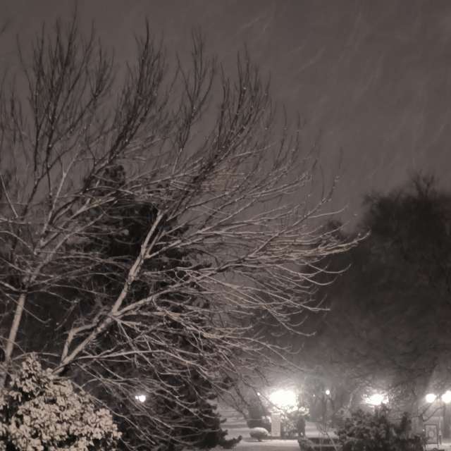 Fotos del Boca de aguas. Pronósticos del tiempo con hermosas fotos de YanBog en București