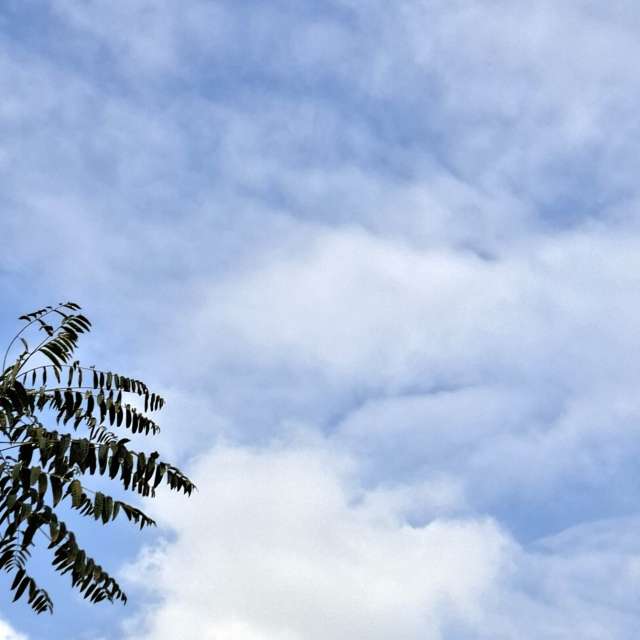 Blue. Weather forecasts with beautiful photos by Wen-ya Huang Photos in World
