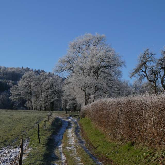 Прогнозы погоды с чудесными фотографиями, сделанными Fredy_Hiker