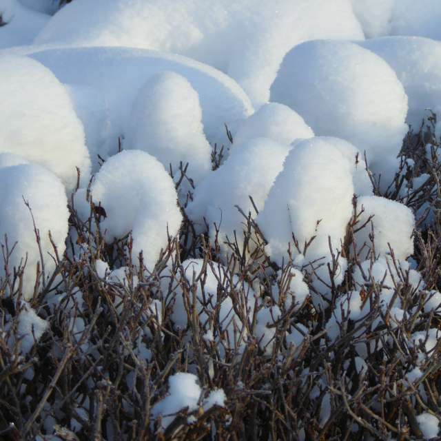 AlmaGenute53の美しい写真による天気予報