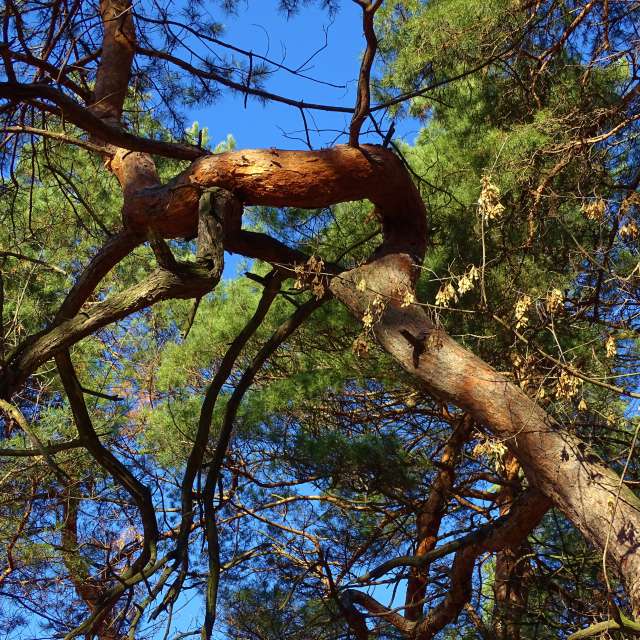 Front. Weather forecasts with beautiful photos by Михаил Гавриков Photos in Kharkiv