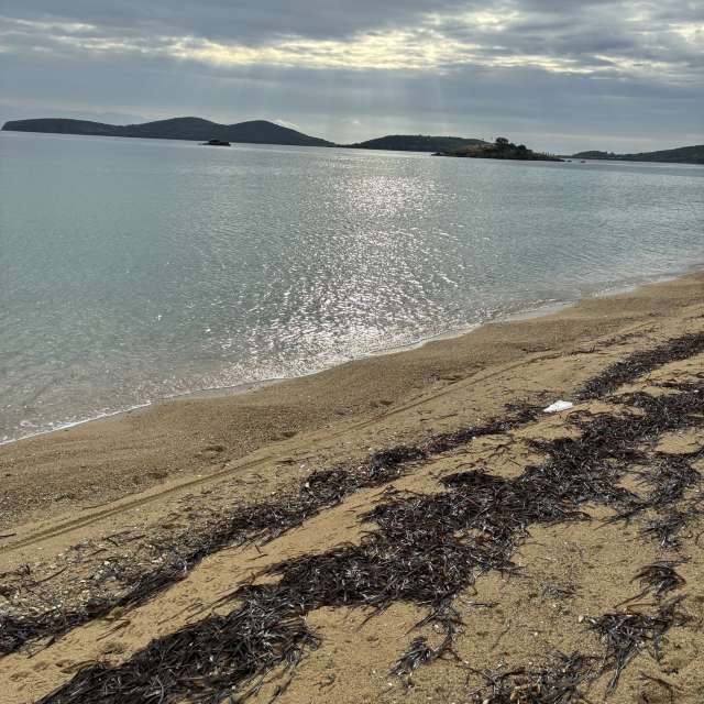 Прогнозы погоды с чудесными фотографиями, сделанными cigov