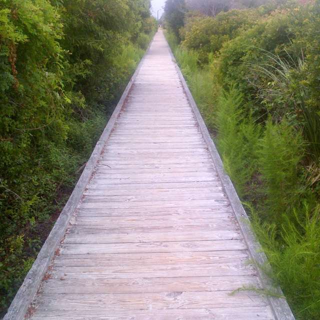 Pronósticos del tiempo con hermosas fotos de Birdy25