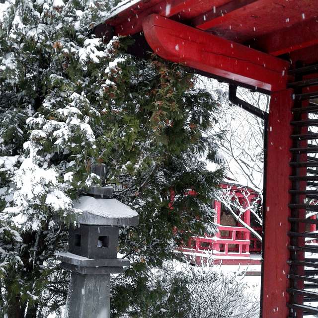 Bench. Weather forecasts with beautiful photos by urashm Photos in Khmelnytskyi