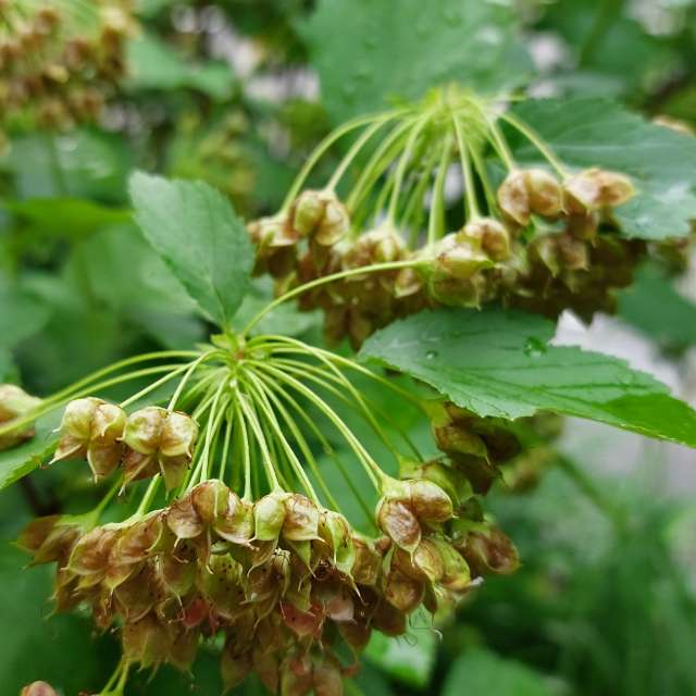 Rain. Weather forecasts with beautiful photos by Iryna Photos in Kharkiv