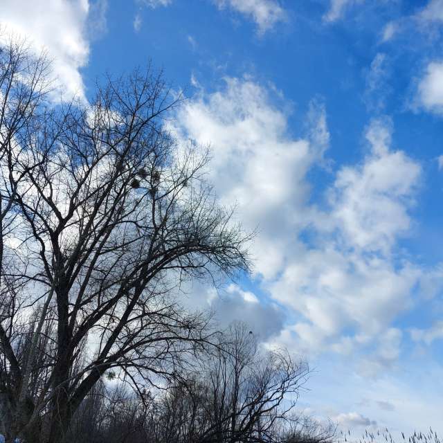 Sky. Weather forecasts with beautiful photos by Iryna Photos in Kharkiv