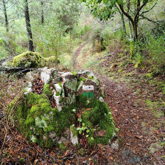 Weather forecasts with beautiful photos by Pcm407