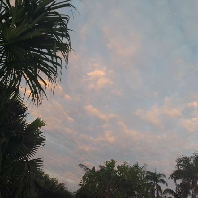 Prévisions météo avec de superbes photos de WelshAussie