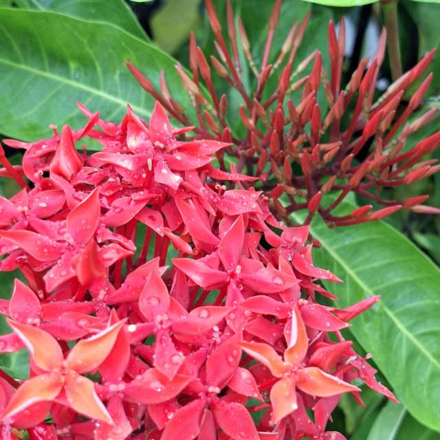 Board. Weather forecasts with beautiful photos by Wen-ya Huang Photos in Kaohsiung City