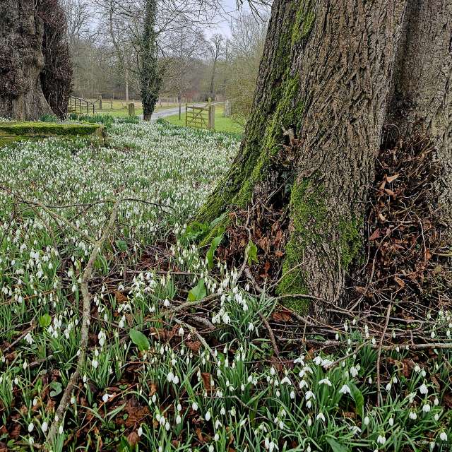 Previsões do tempo com lindas fotos de Greenbroker