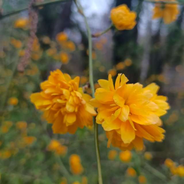 Fotos sobre el clima en Mundo. Pronósticos del tiempo con hermosas fotos de YanBog