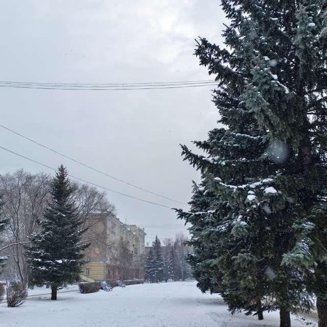 天气预报，带Михаил Бондаренко精美的照片