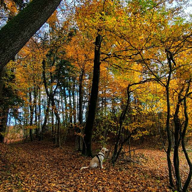 Weather forecasts with beautiful photos by Anamarija