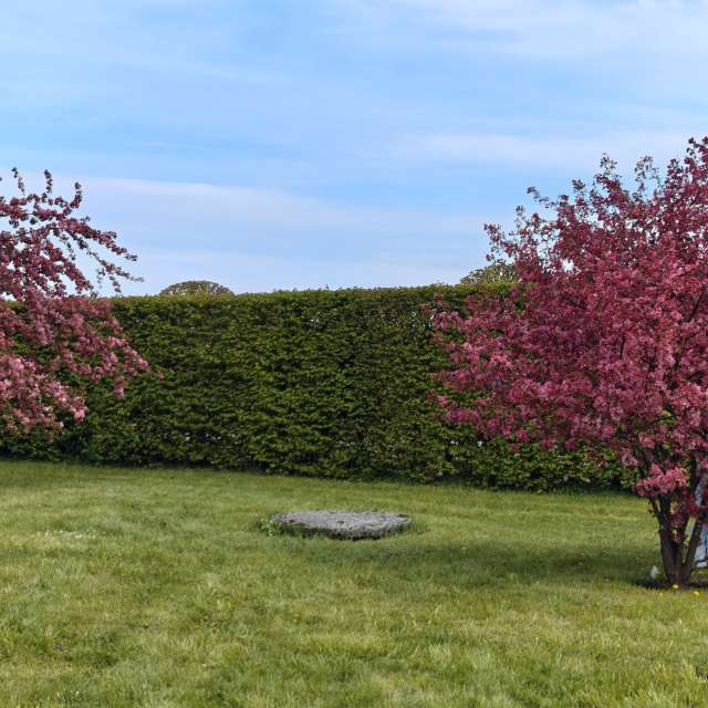 Previsões do tempo com lindas fotos de newgen