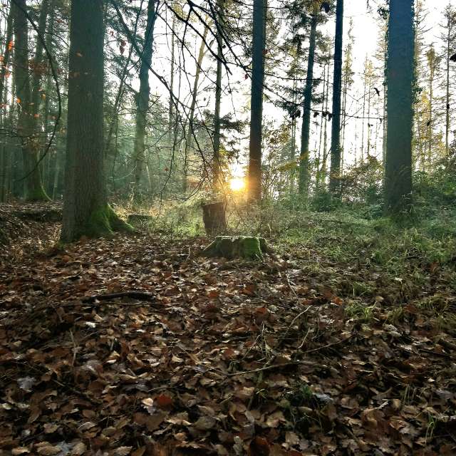 Pronósticos del tiempo con hermosas fotos de jmayr