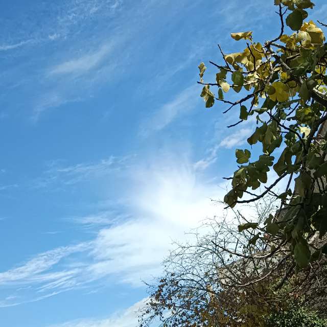 Прогнозы погоды с чудесными фотографиями, сделанными BenQ99