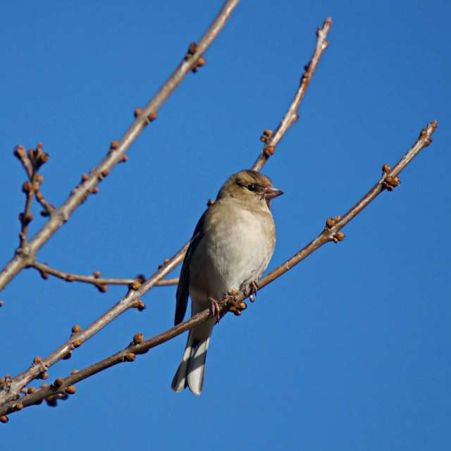 Wire. Weather forecasts with beautiful photos by tony5636 Photos in Calvisson