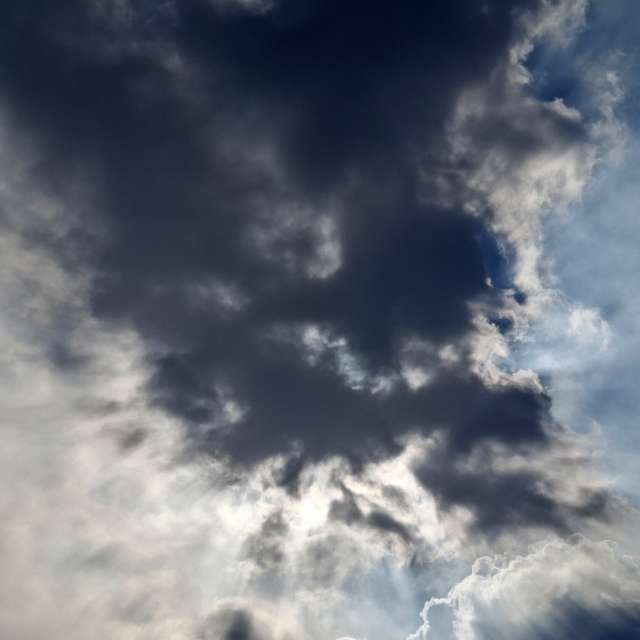 Dog. Weather forecasts with beautiful photos by Wen-ya Huang Photos in Kaohsiung City