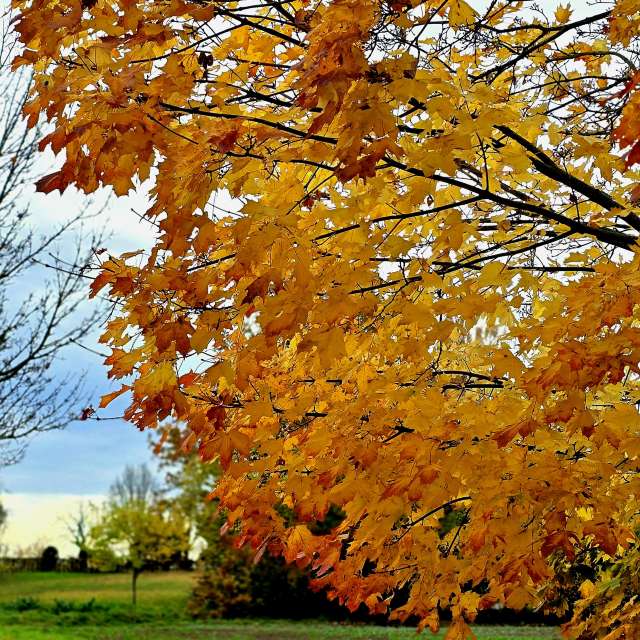 Jesen. Wettervorhersagen mit schönen Fotos von Hela Fotos Bayern