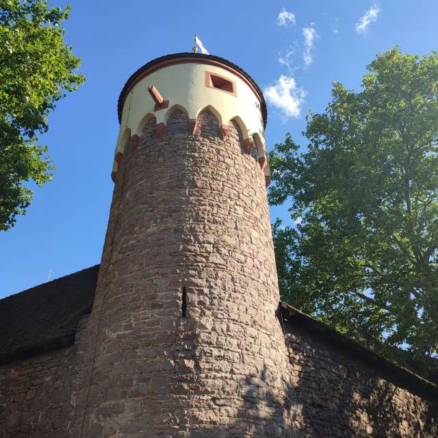 Stone. Weather forecasts with beautiful photos by Tercis Photos in Ettlingen