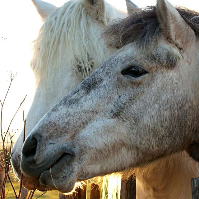 Field. Weather forecasts with beautiful photos by tony5636 Photos in World