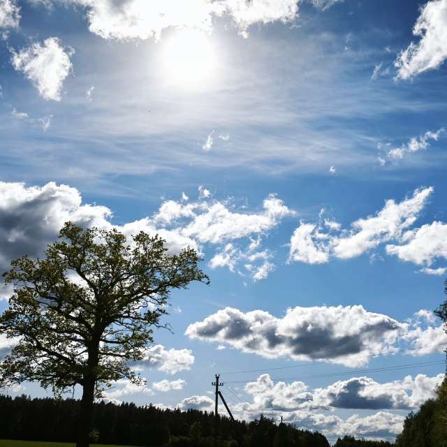 Overlooking. Weather forecasts with beautiful photos by Valiukas Photos in Lithuania
