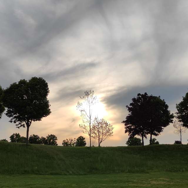 Weide. Wettervorhersagen mit schönen Fotos von Kripo Fotos Niederösterreich