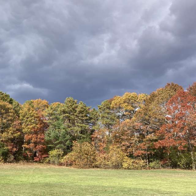 Pronósticos del tiempo con hermosas fotos de prairiesands