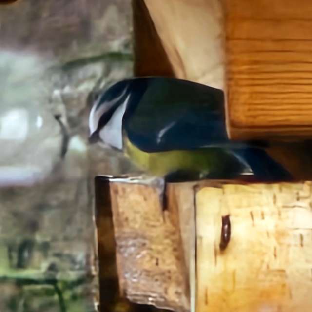 Fotos Madeira. Previsões do tempo com lindas fotos de Seni em Velbert