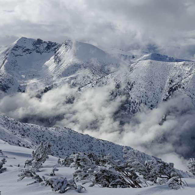 天气预报，带Rosiii精美的照片