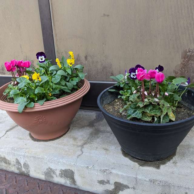 Fotos Bicicleta. Previsões do tempo com lindas fotos de あさのジジ em Okayama