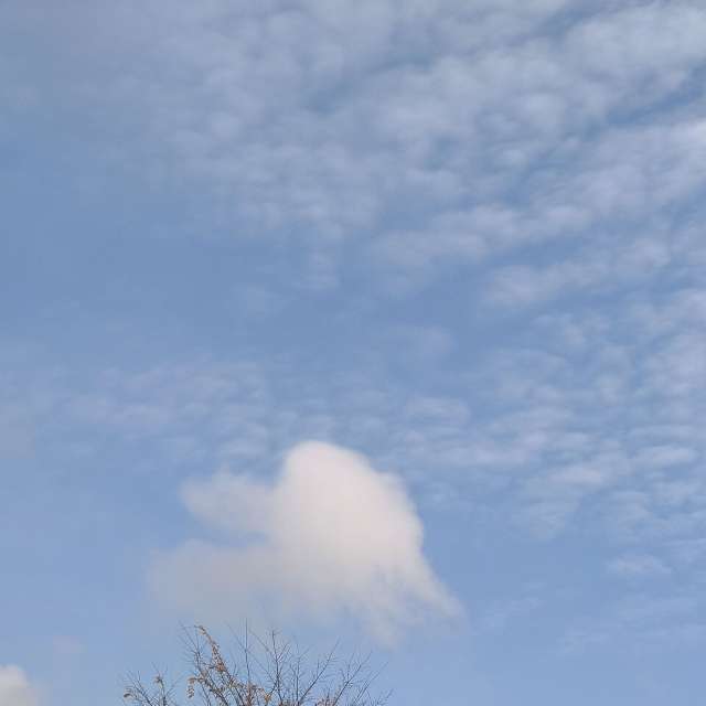 Pronósticos del tiempo con hermosas fotos de YanBog