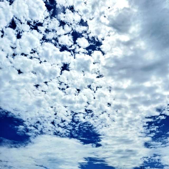 天气预报，带davidonefighter精美的照片