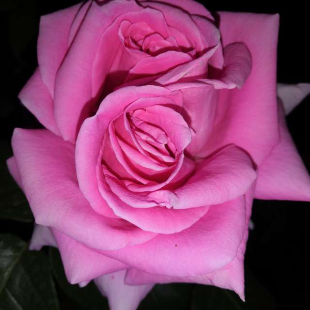 Wettervorhersagen mit schönen Fotos von Yurik