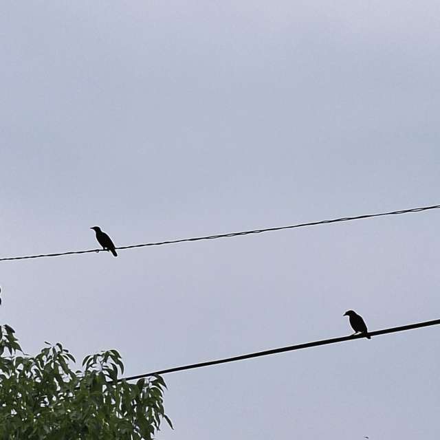 Traffic. Weather forecasts with beautiful photos by Wen-ya Huang Photos in Kaohsiung City