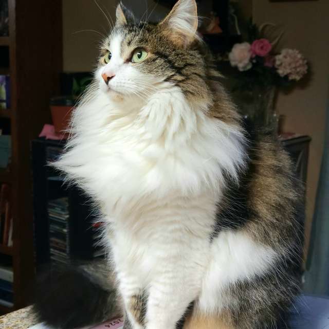 Sitting. Weather forecasts with beautiful photos by CarolRenee Photos in World