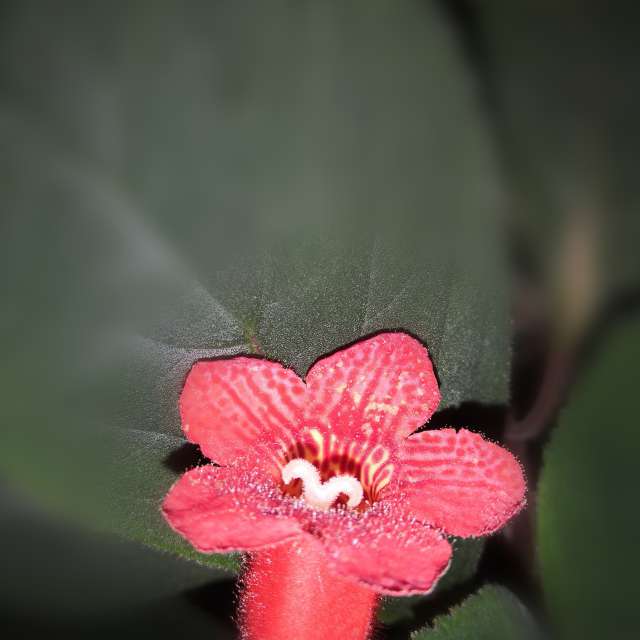 Wettervorhersagen mit schönen Fotos von Yurik