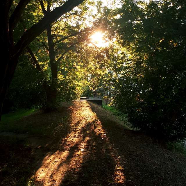 Previsões do tempo com lindas fotos de tipgol
