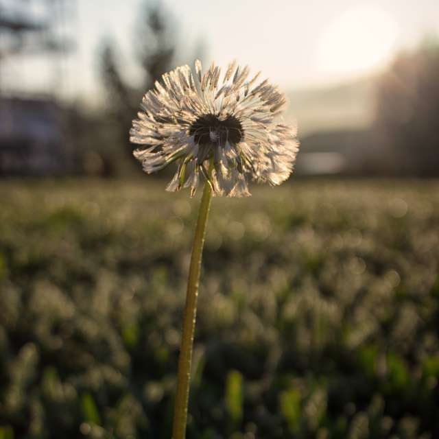 天气预报，带Axys精美的照片