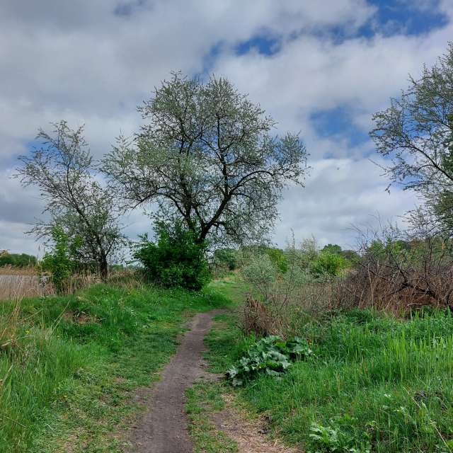 Motion. Weather forecasts with beautiful photos by Iryna Photos in Kharkiv