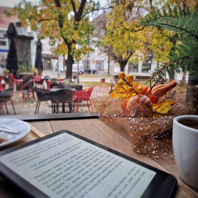 天气预报，带Aleksandar精美的照片