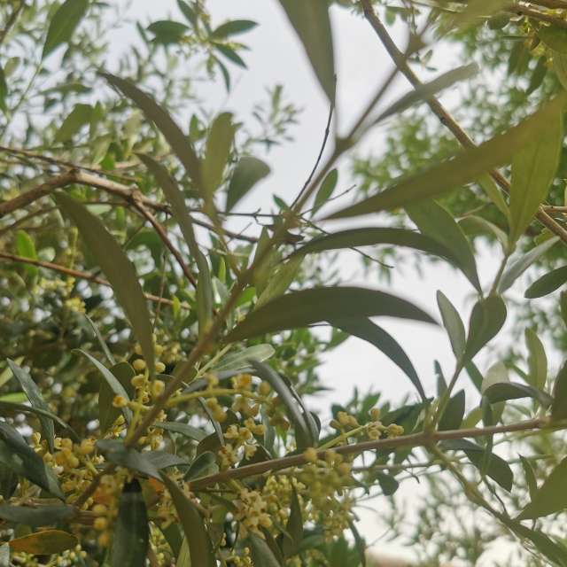 Weather forecasts with beautiful photos by CalligraphyELA